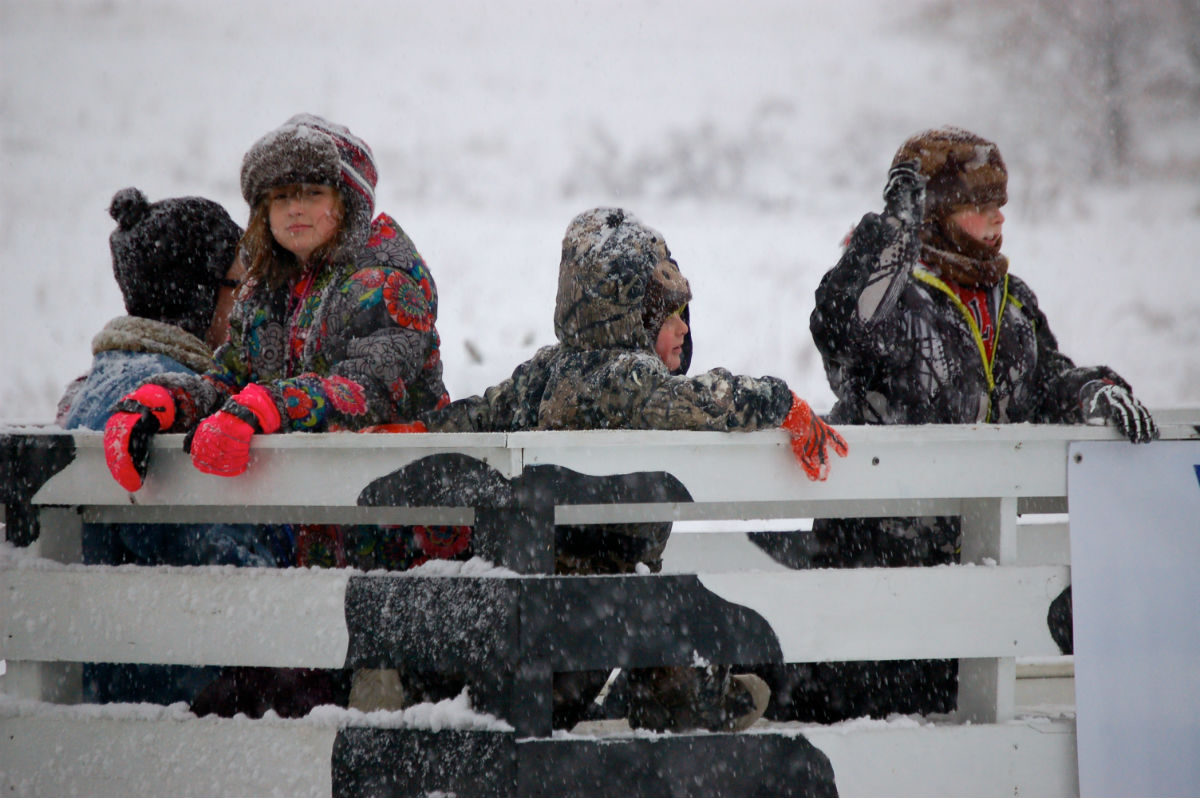 First Snowfall Illuminates Sunset Hill Park at 2015 Winter Lights