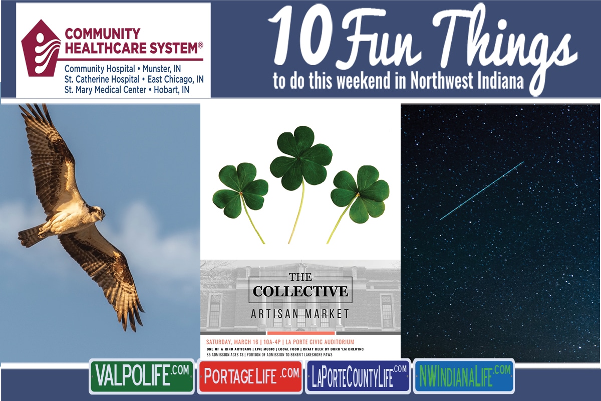 10 Fun Things to Do This Weekend in Northwest Indiana March 15th – 17th, 2019