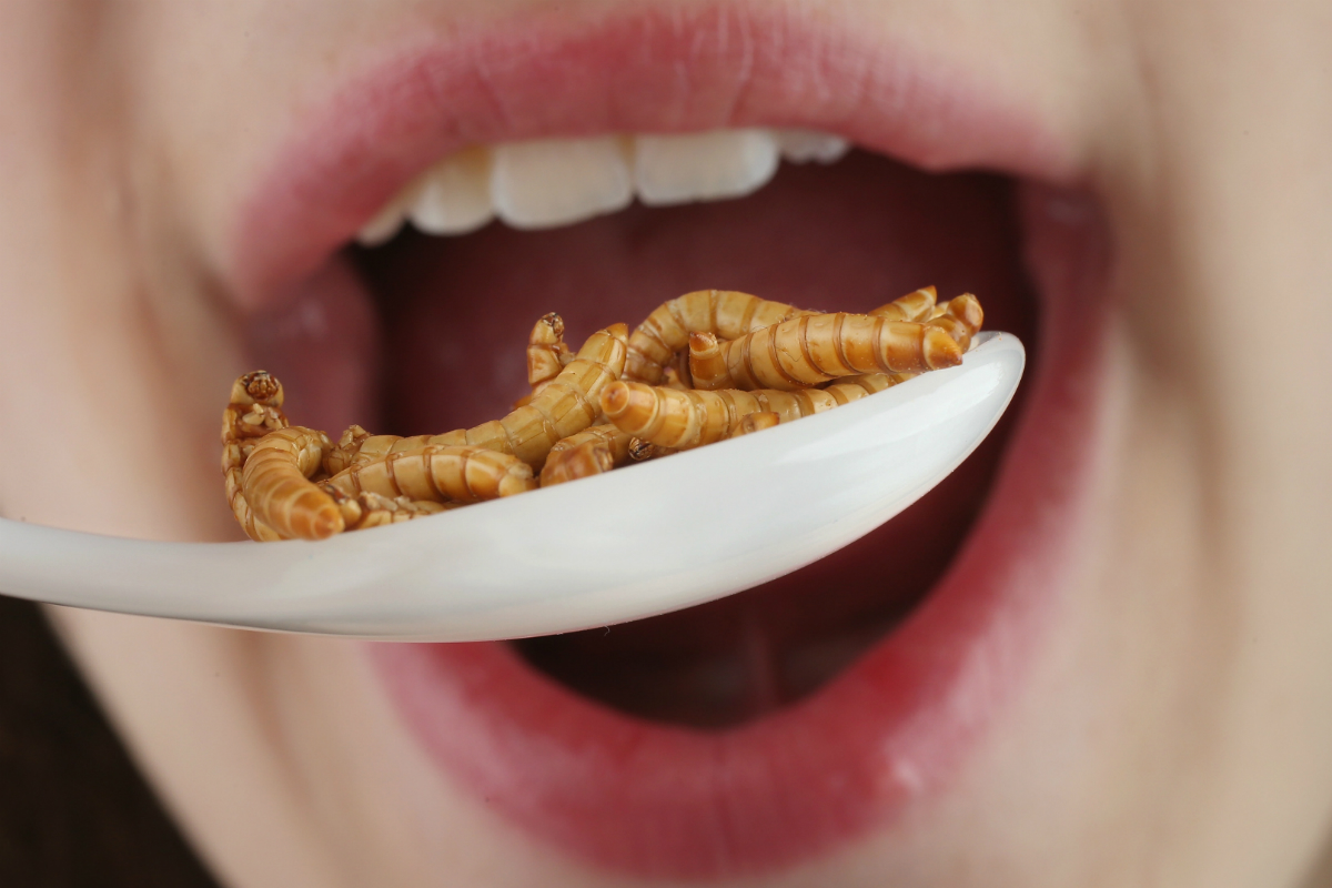 Crunchy Bugs & Grimy Grubs: The Future of Food?